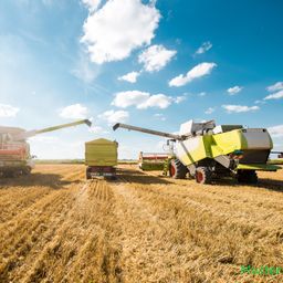 10,7 ha Ackerland bei Kröpelin
zu verkaufen