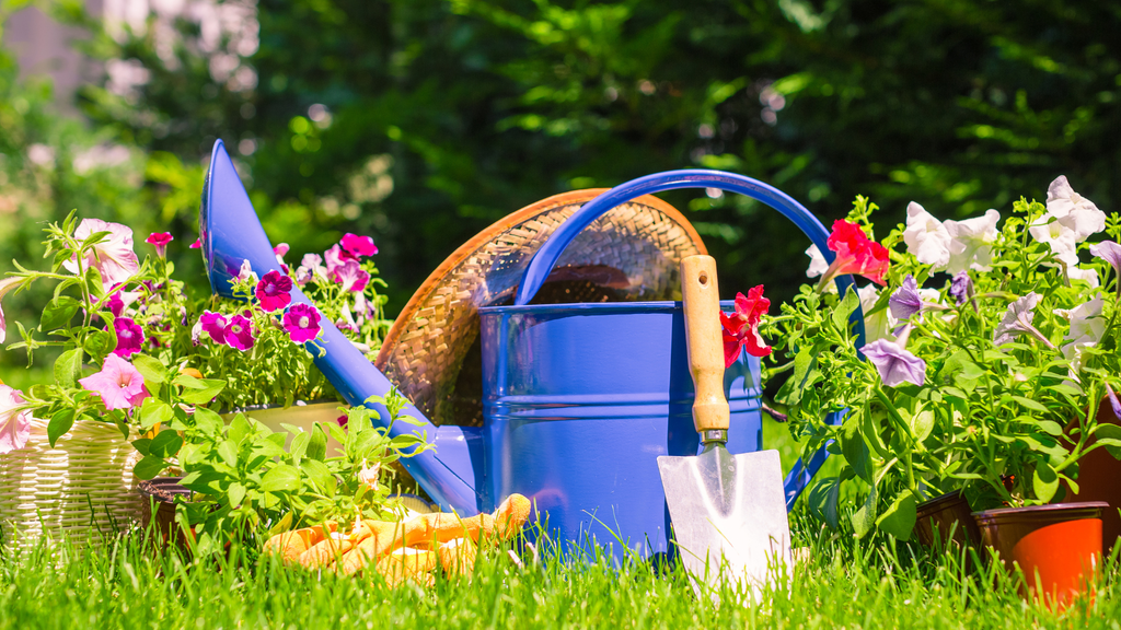 Smart Irrigation 2025: Wie Landwirte mit Sensorik Wasser effizienter nutzen