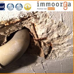 — Bauschäden! — Risse Wassereintrag Gutachten Eigentumswohnungen