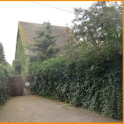 +++ Wiesen und Wälder statt Ruß und Asphalt! +++