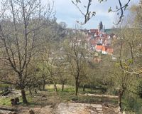 IMG_1191