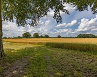 Impressionen