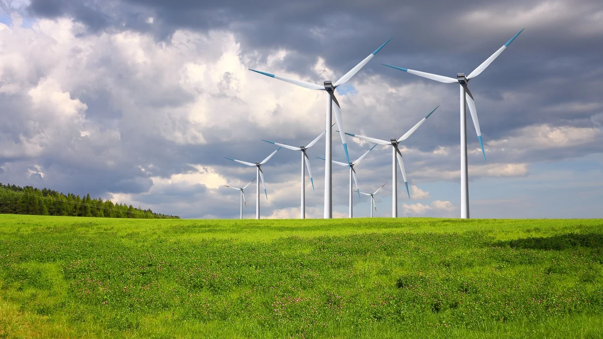 Windräder auf einer grünen Wiese