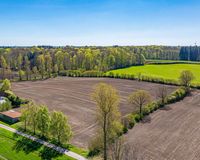 Den Wald vor der Tür