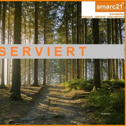 15 ha Wald in Thüringen
 – Rottenbach – Solsdorf –