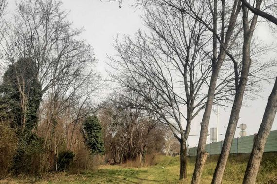 Freizeitgrundstück (Eigengrund!) - Nähe Mühlwasser - KEIN BAULAND!