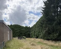Wiesenfläche hinter dem Haus 