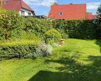 Blick in den Garten