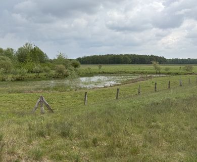 24 ha Grünland/Biotop zu verkaufen