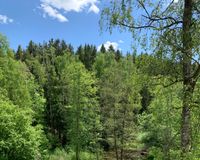 Blick aus dem Erker 1. Stock