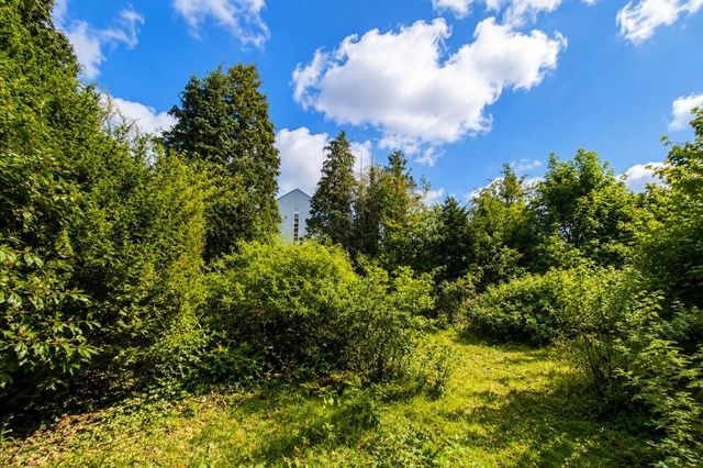 Im Garten