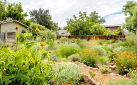 1759389436_Regenerativer-Garten-2