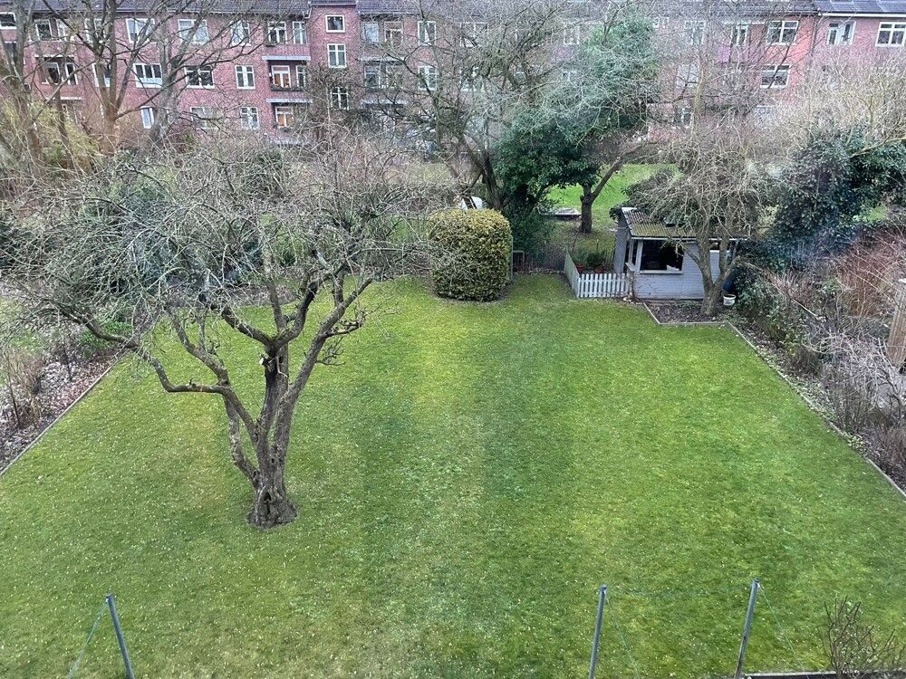 Gemeinschaftsgarten