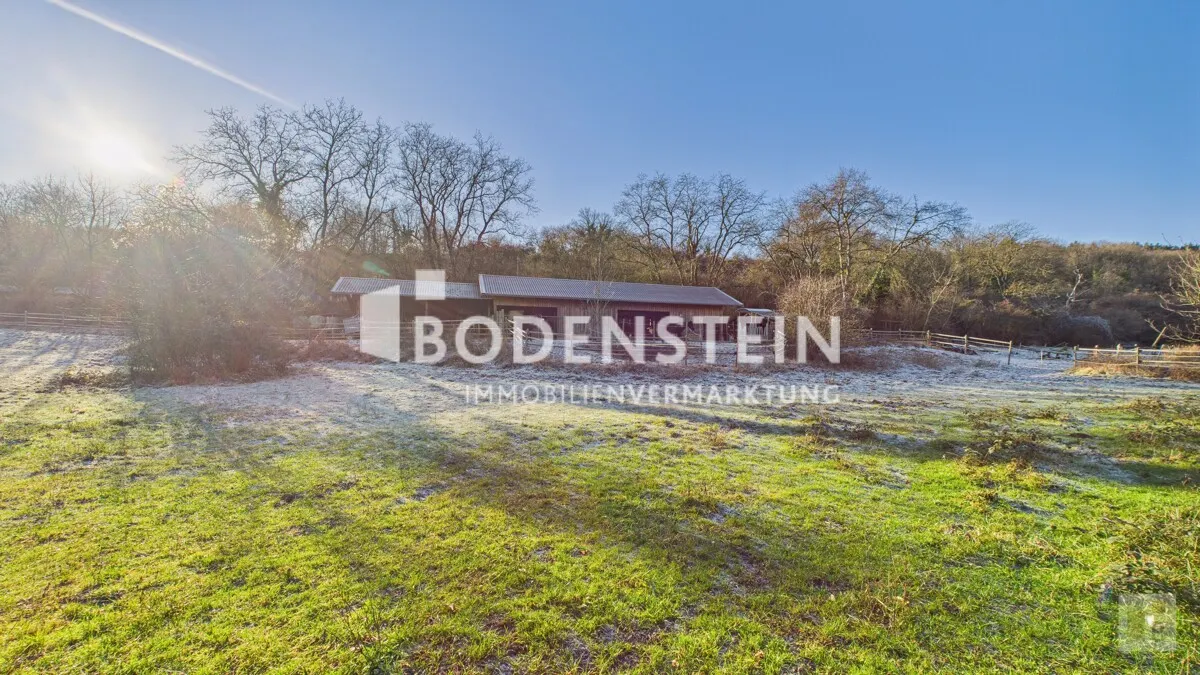 Weideflächen unterhalb des Stalls