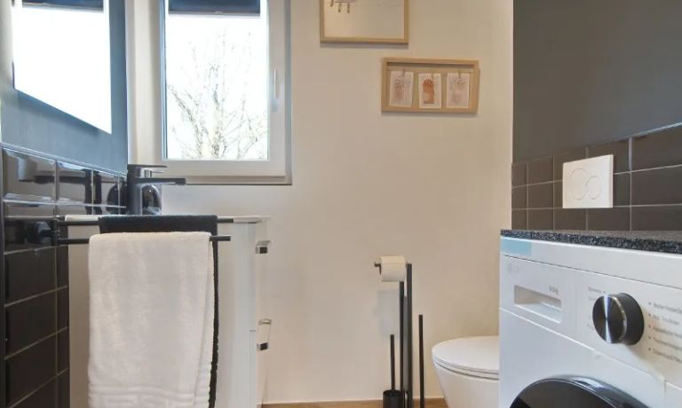 Guest toilet