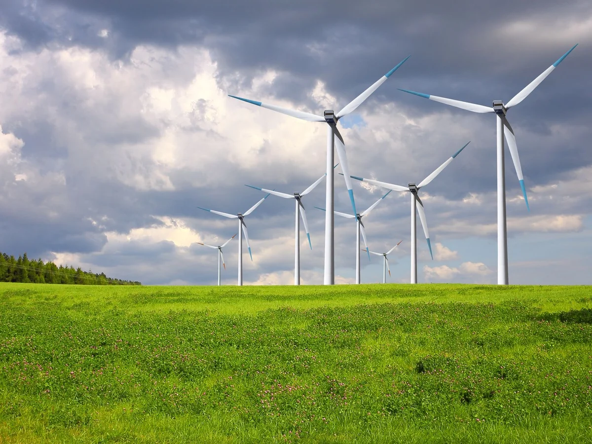 Windräder auf einer grünen Wiese