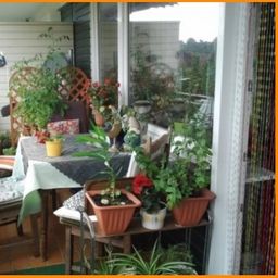 möblierte Wohnung auf Zeit zu vermieten!
* zwischen Münster und Osnabrück *