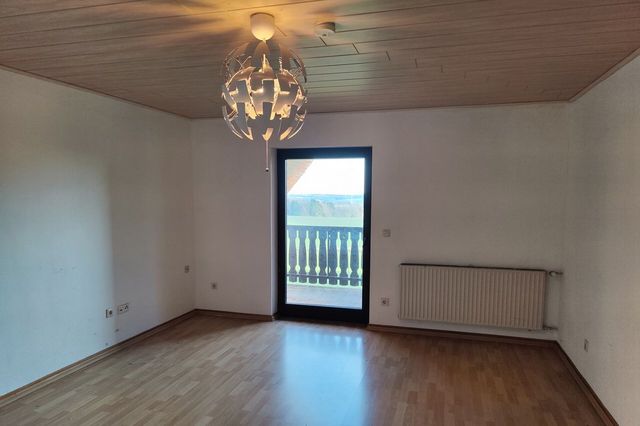 Zimmer DG