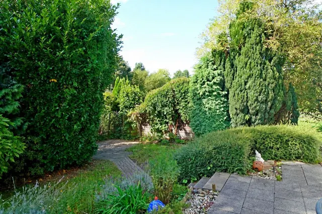 Hübscher Garten