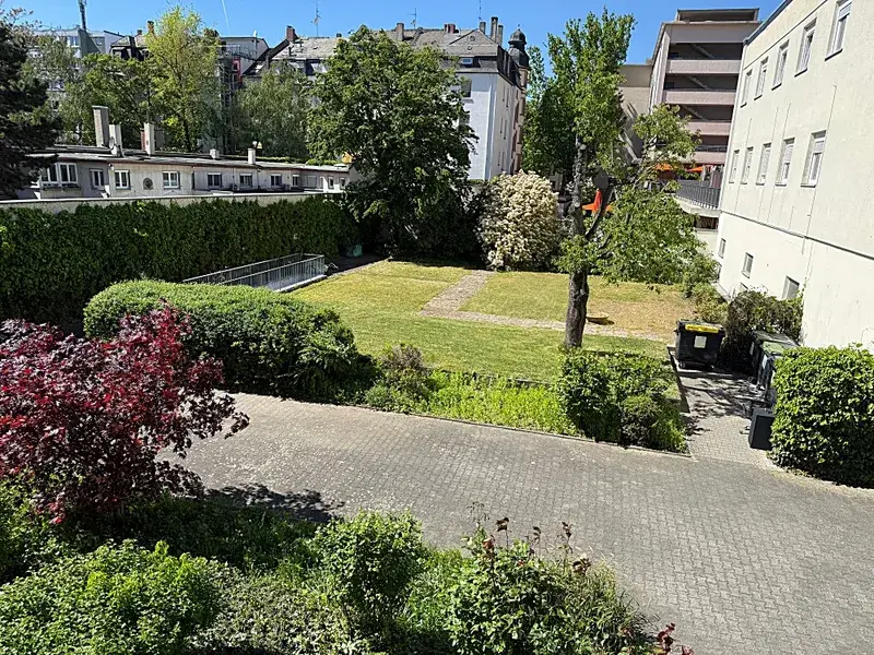 Blick ins Grüne