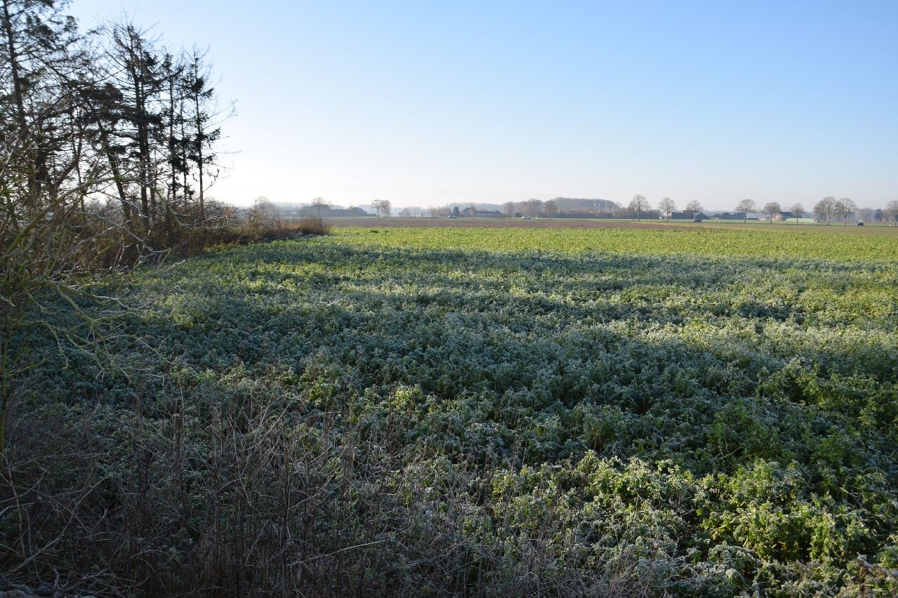 Ackerland mit 2.086 m² in Kerken-Nieukerk