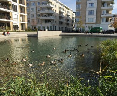 Geräumige 4 ZI. Wohnung im Belsenpark Oberkassel - Foto 2