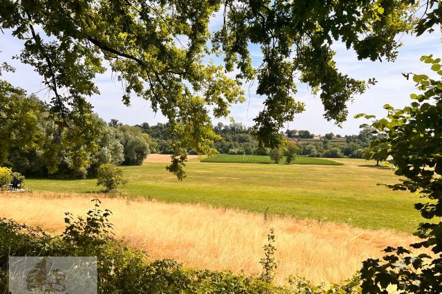 Blick in die Natur