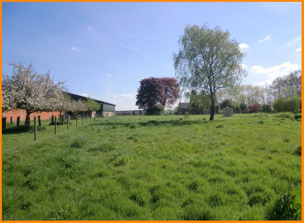 Frontansicht Grundstück