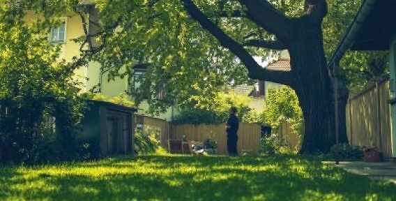 1759389408_Baumbestand-Nachbarn-3