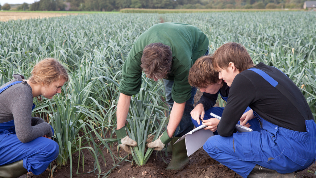 Hofnachfolge regeln: So sichern Landwirte ihren Betrieb für die nächste Generation