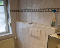 Bad DG