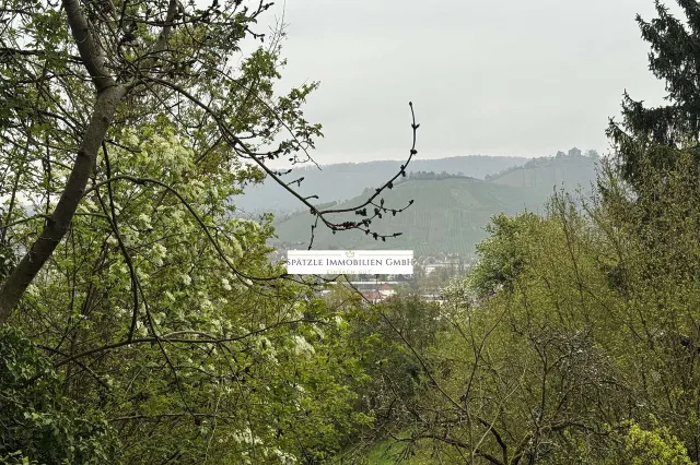 Aussicht auf die Grabkapelle auf dem Würrtemberg