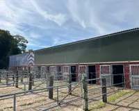 Stall mit Paddocks