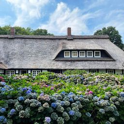 14 ha Fachwerkjuwel im Grünen