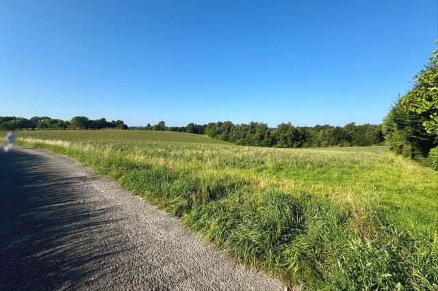 Natur pur direkt vor der Haustüre