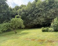 Gemeinschaftsgarten