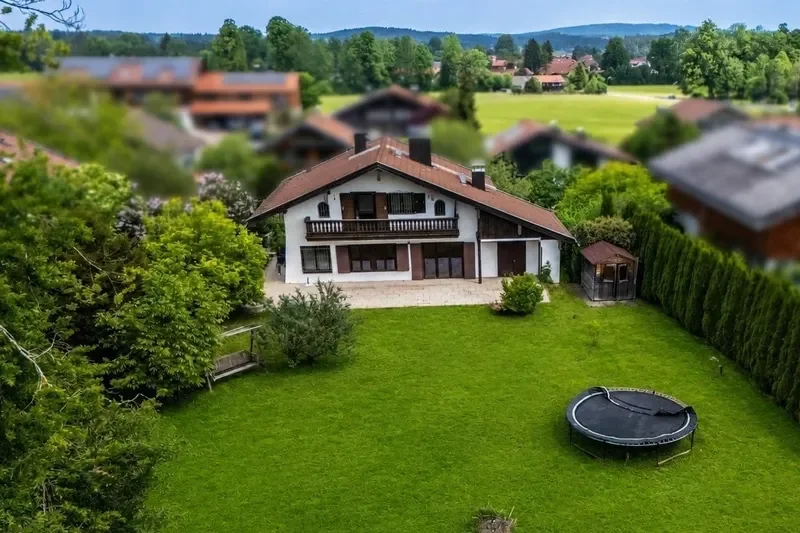 Blick auf Altbestand
