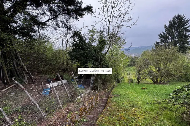 Garten mit Aussicht zur Grabkapelle auf dem Würrtemberg