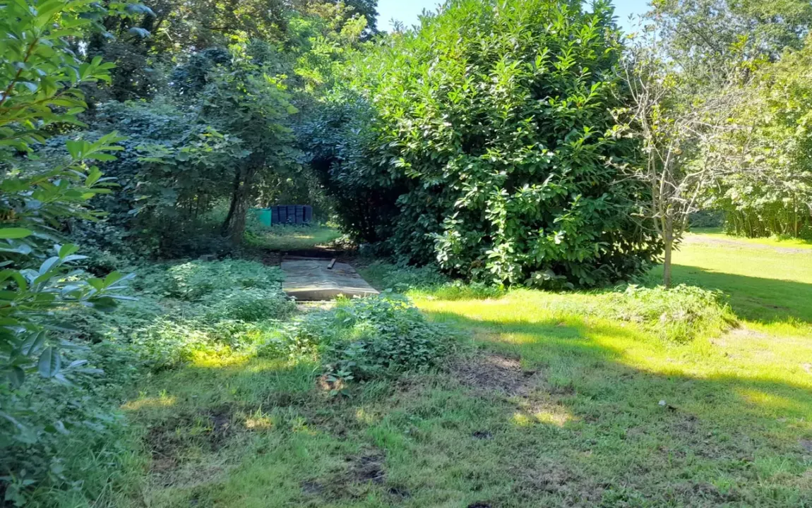 Bomben sicheres Investment