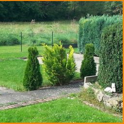 3 ZKB mit kleinem Garten !