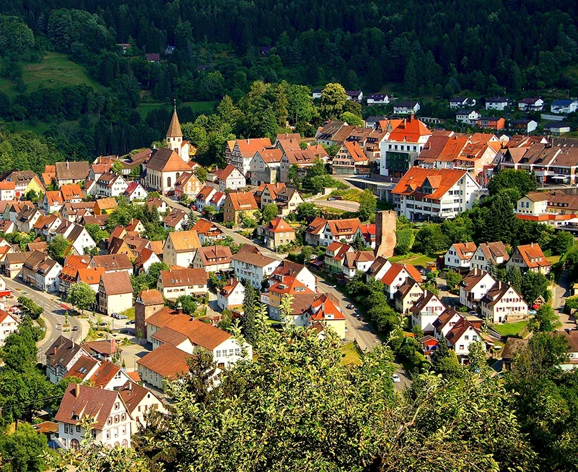Blick über Wildberg im Nagoldtal