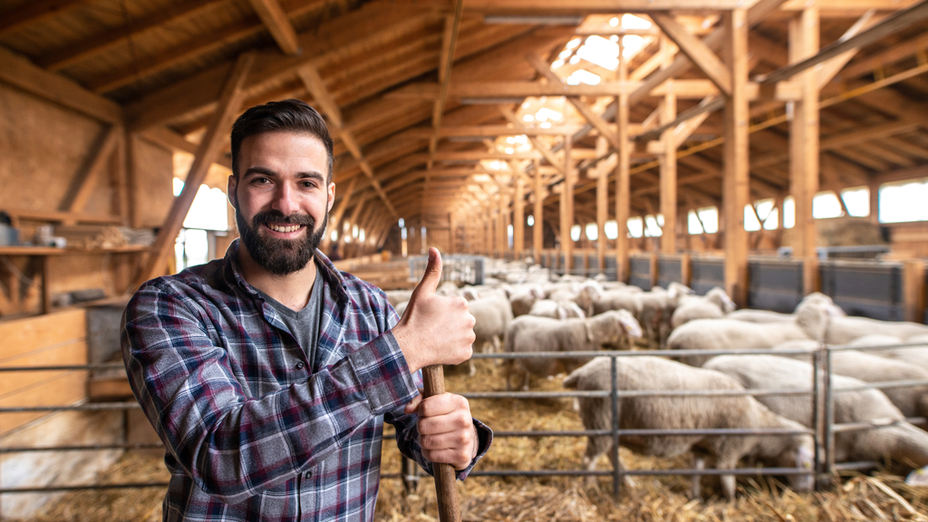 Lüftung im Stall: Effizient nur mit sauberer Anlage und korrekten Sensoren