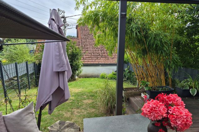 Blick in den Garten