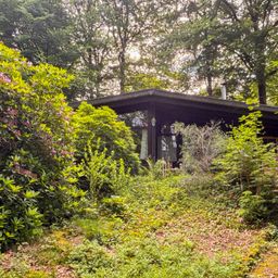 Raus aus dem Alltag – rein in die Natur! Gemütliches Ferienhaus mit Gästehaus und Sauna.