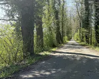 Allee Zufahrt von Straße zum Haus