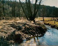 Grundstücksgrenze Bachlauf