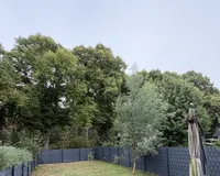 Pflegeleichter Garten 
