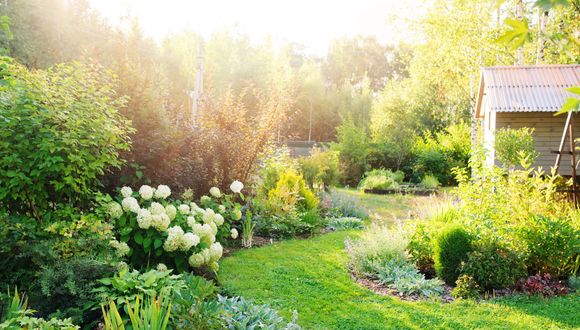 Fit für Hitze und Dürre: 10 Tipps für den klimaresistenten Garten