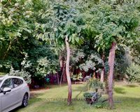 Garten und Wäldchen hinter dem Haus