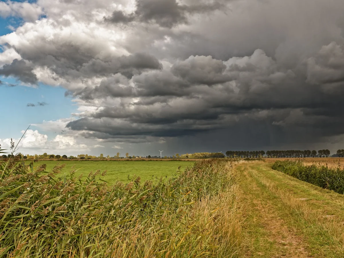 Dunkle Gewitterwolken über einem Feld